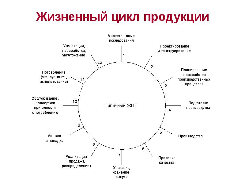 Жизненный цикл продукции картинки