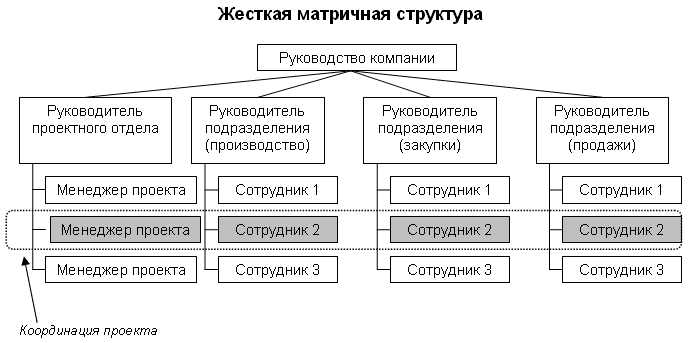 РИС. 4. МАТРИЧНАЯ ОРГСТРУКТУРА