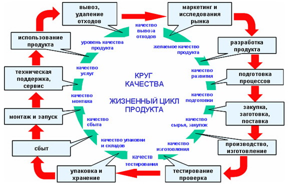 Жизненный цикл продукта как круг качества