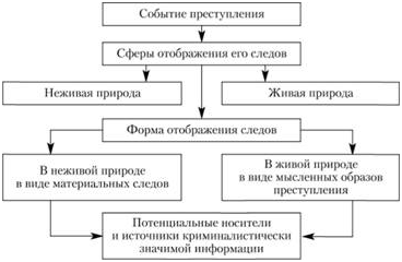 Источники криминалистической информации. Источники криминалистически значимой информации схема. Носители криминалистически значимой информации. Исследования события преступления.