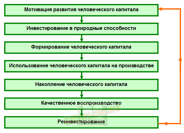 Развитие человеческого капитала