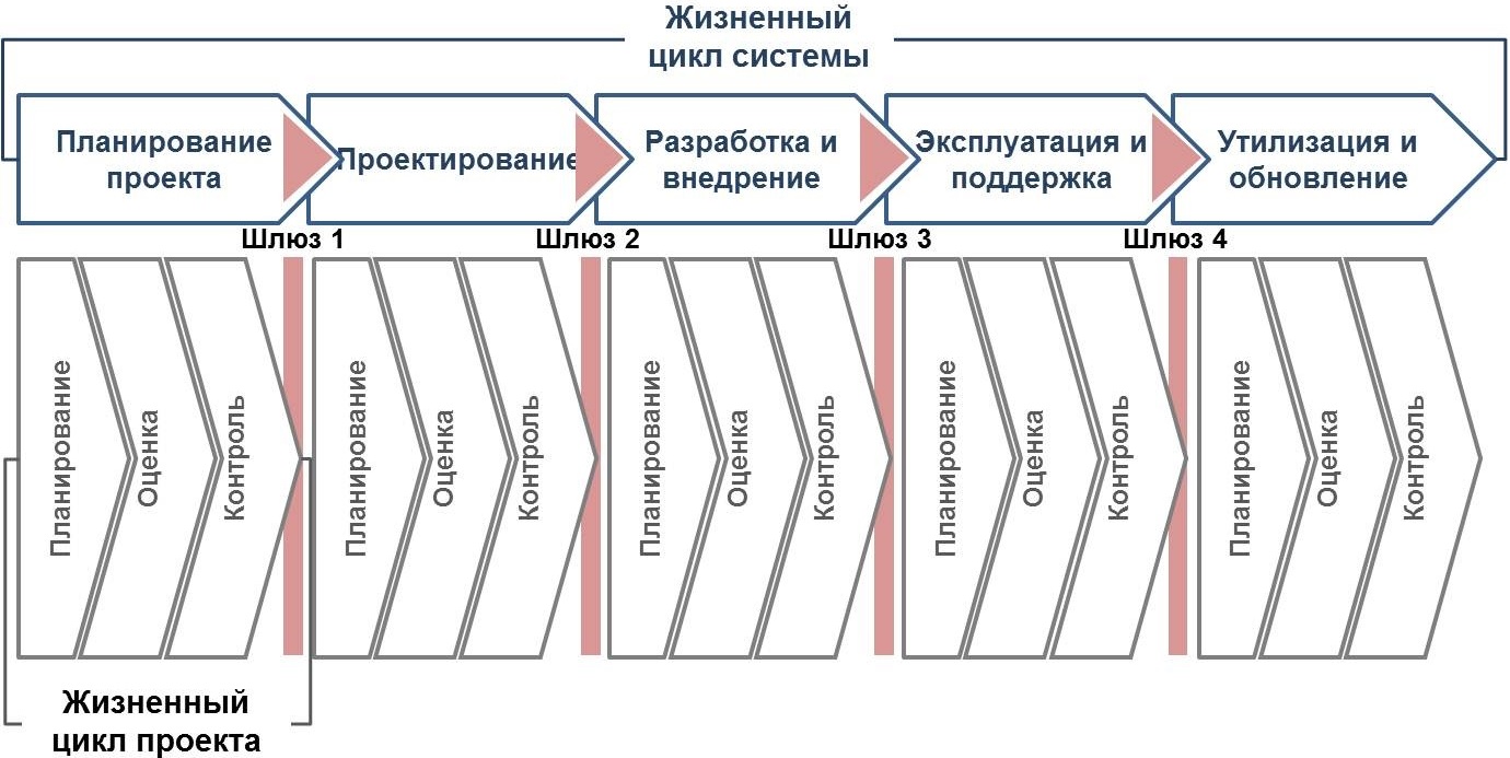 Понятие жизненный цикл в управление проектами пришло из биологии