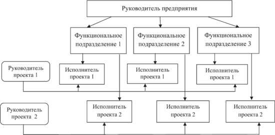 — Матричная (проектная) организационная структура