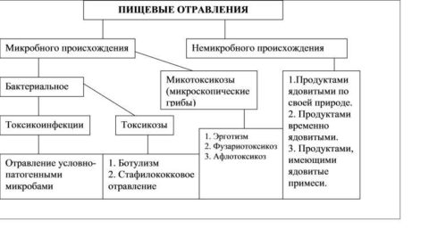 ÐÑÐ½Ð¾Ð²Ð½ÑÐµ Ð¿ÑÐ¸ÑÐ¸Ð½Ñ Ð¿Ð°ÑÐ¾Ð»Ð¾Ð³Ð¸Ð¸