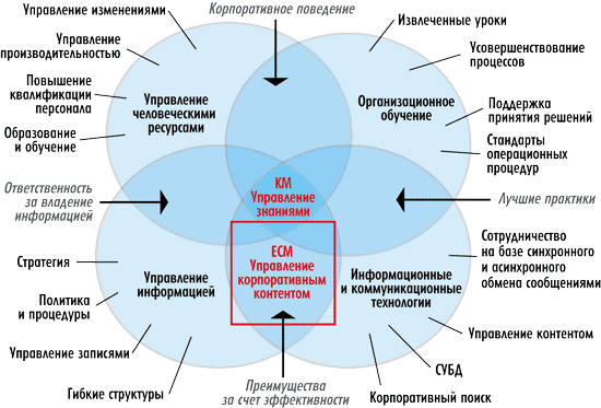 К организационным инновациям в управлении виртуальными проектами компании относятся