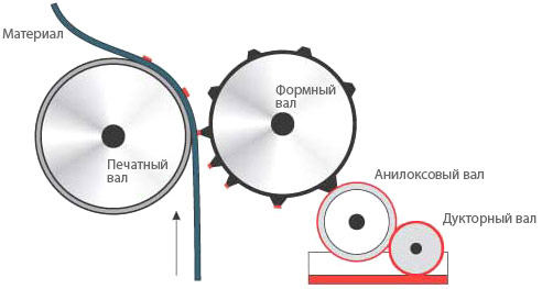 Картинки по запросу флексография