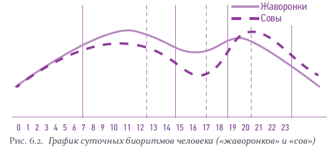 Влияние биоритмов на работоспособность человека проект