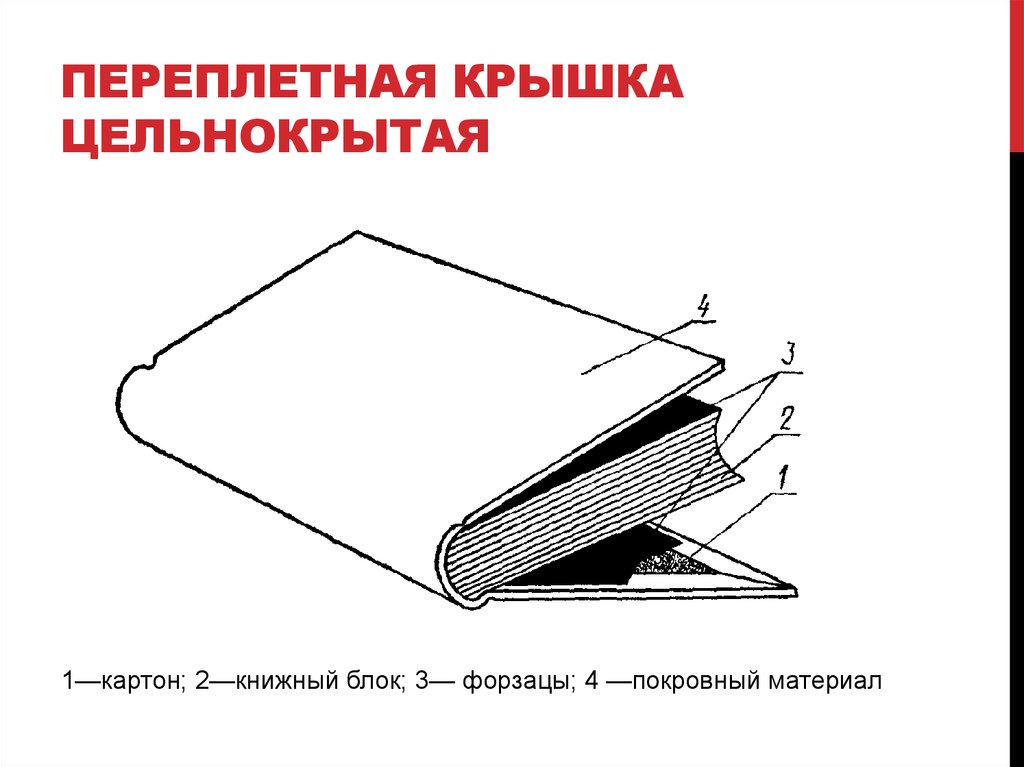 Типы изображения в полиграфии 7 класс