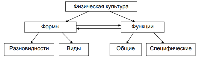 К специфическим функциям физической культуры относится функция