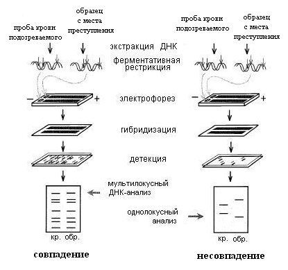 C:\Users\Leroiy\Desktop\4-1.jpg