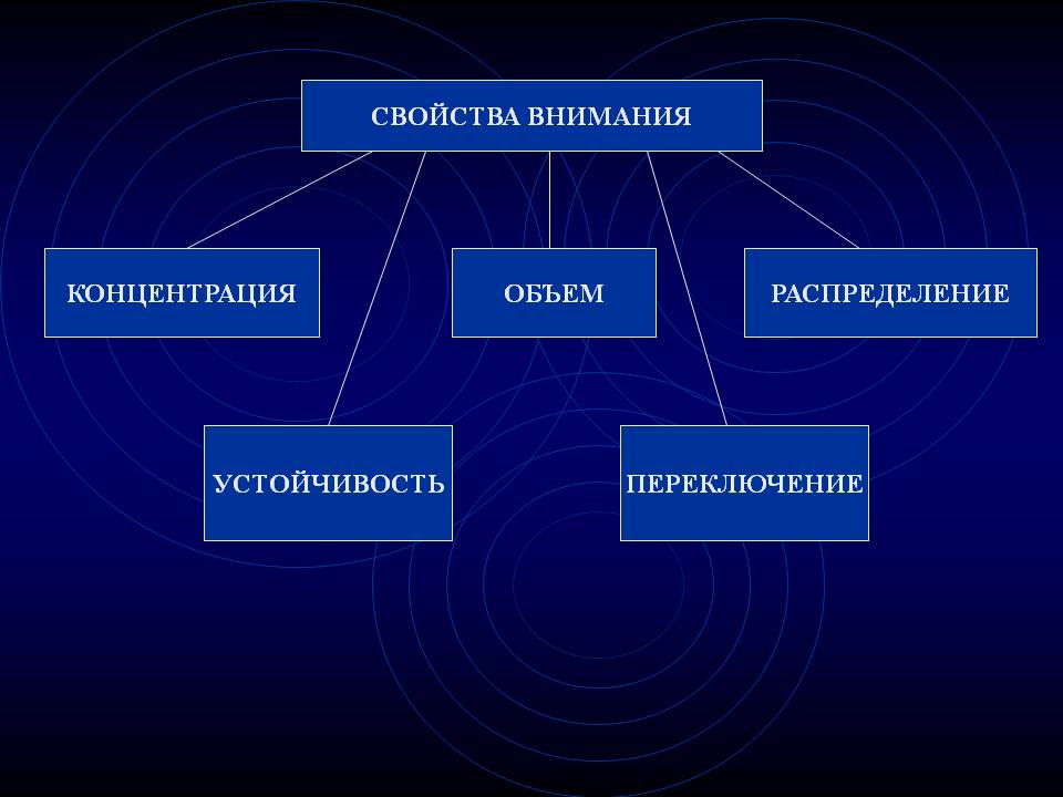 Свойства внимания схема