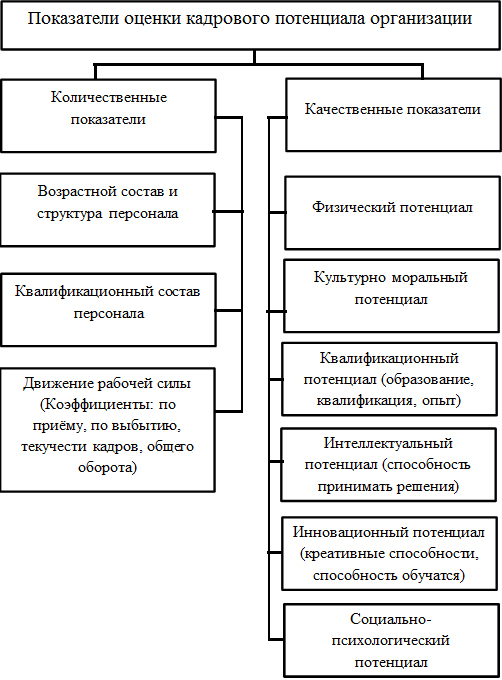 Система показателей оценки уровня кадрового потенциала организации