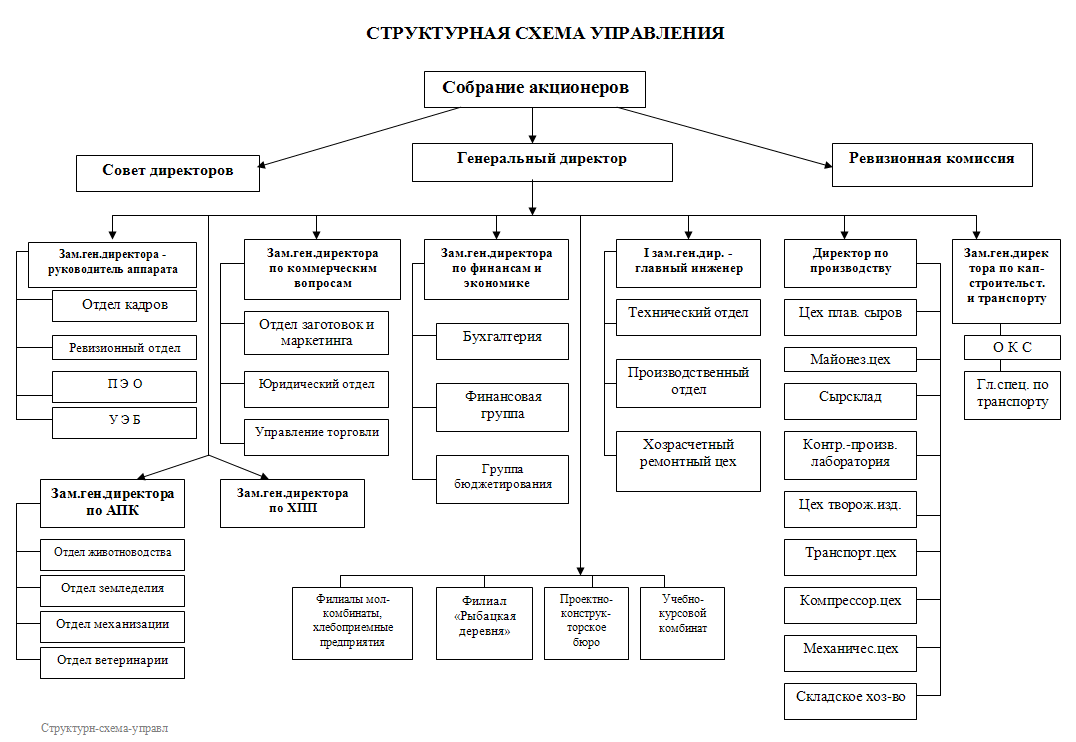 Анализ организационной структуры. Организационная структура управления Лукойл схема. Структура управления ПАО Лукойл схема. Организационная структура компании Лукойл. . Организационная структура организации ПАО «Лукойл».