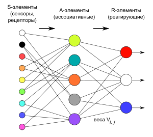 http://upload.wikimedia.org/wikipedia/commons/thumb/e/e1/Perceptron-ru.svg/300px-Perceptron-ru.svg.png