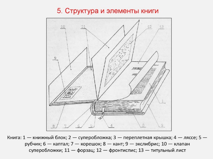 https://cf.ppt-online.org/files/slide/t/TxGXcBWik1rwhKCoezV4NF9lj32mpJQfaAIPY6/slide-22.jpg