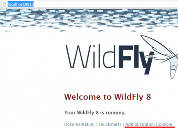 Первый вход в WildFly