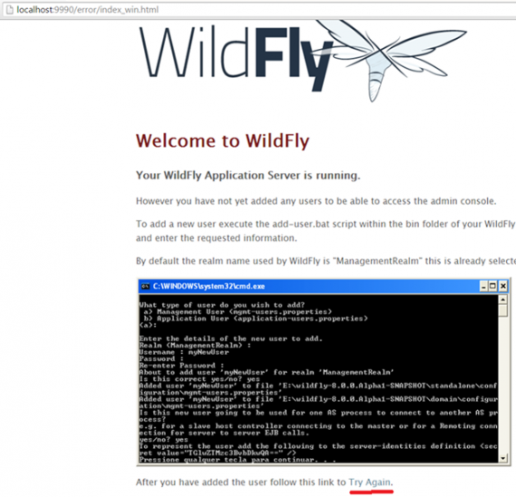 Первый вход в админку WildFly