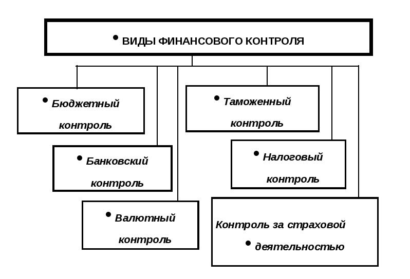 Финансовый контроль бюджета