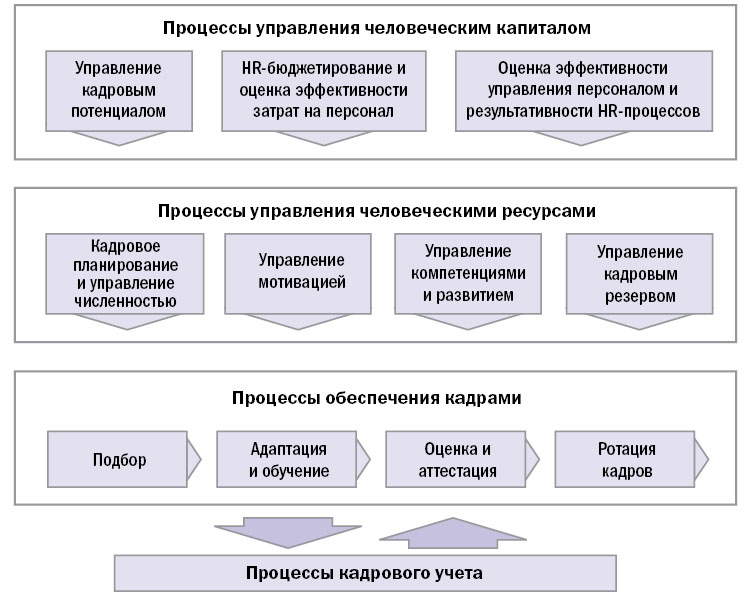 Процесс разработки проектов организации систем управления персоналом организаций это