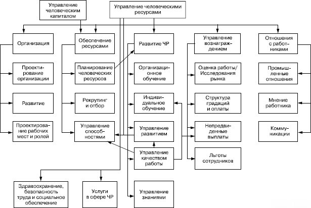 Картинки по запросу Управление человеческими ресурсами в организации