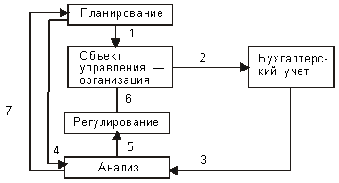 Бухгалтерский учет как функция управления