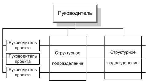 C:\Users\юля\Desktop\harakter-funkcionirovanija-matrichnyh-struktur_1 - копия.jpg