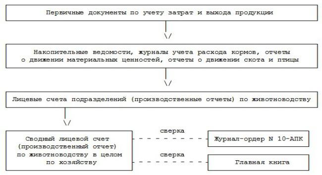 Методическими рекомендациями по бухгалтерскому учету затрат. Методические рекомендации по бухгалтерскому учету затрат. Схема проверки учета животных на выращивании и откорме представлена.