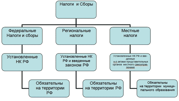 Схема система налогов и сборов в рф