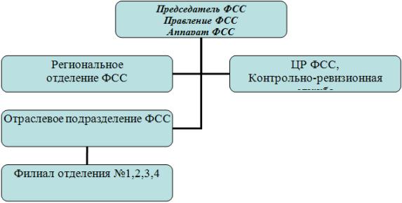 Составьте схему основных источников формирования средств и направления средств пфр фсс фомс