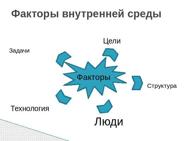 Факторы внутренней среды организации. Факторы внутренней среды. Внутренние факторы организации для презентации.