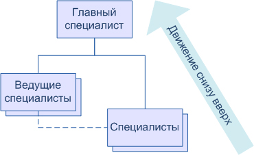 Функциональная структура