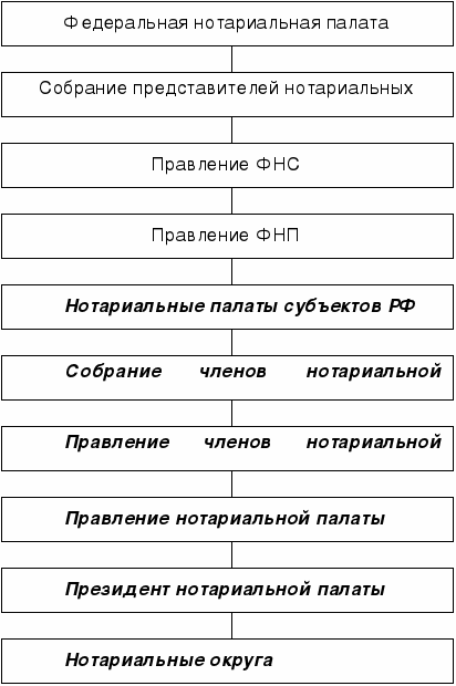 Структура нотариата схема